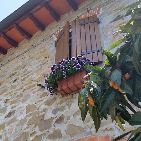 Villa Toscana Loro Ciuffenna Dış mekan fotoğraf