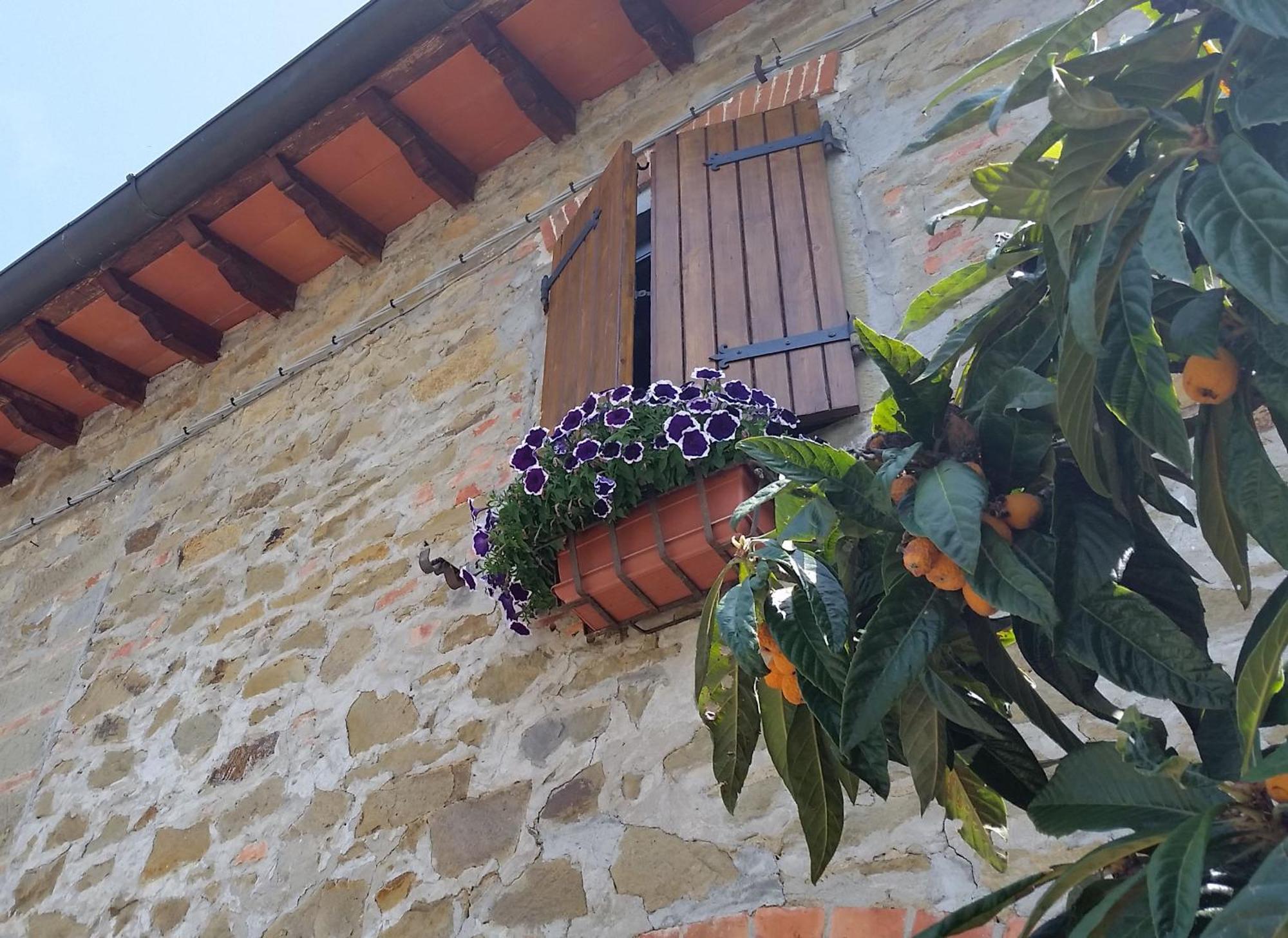 Villa Toscana Loro Ciuffenna Dış mekan fotoğraf